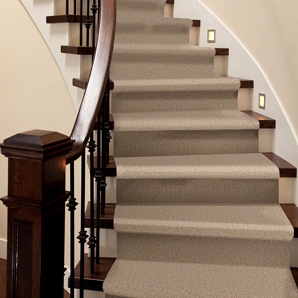 Shaw Floors Instant Winner Fawn 52E28_00108