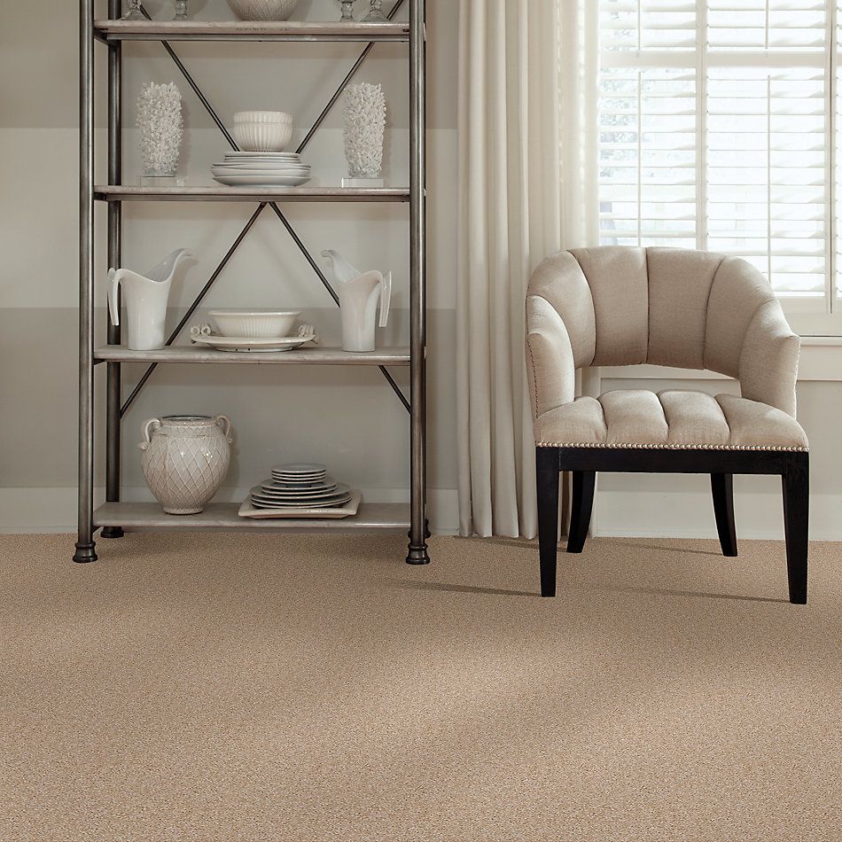 Shaw Floors Shaw Floor Studio Textured Collection Toasted Coconut 00108_52B69