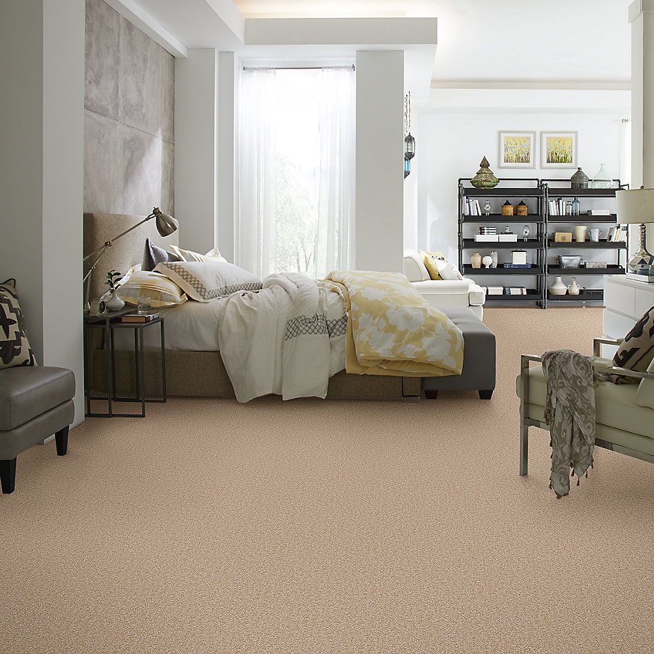 Shaw Floors Shaw Floor Studio Textured Collection Toasted Coconut 00108_52B69