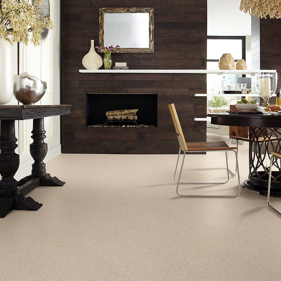 Shaw Floors Shaw Design Center Proven Identity Loop Clay Stone 00108_5C695