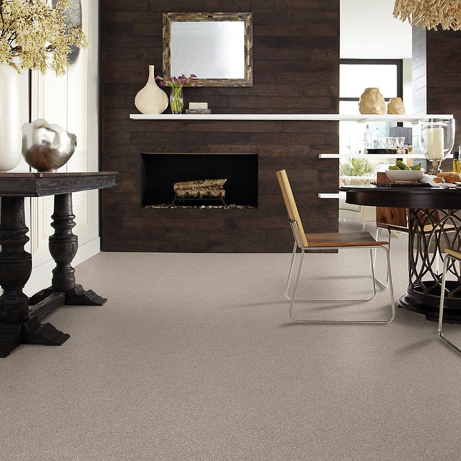 Shaw Floors Foundations Harmonious III Net Fossil Path 00108_5E473