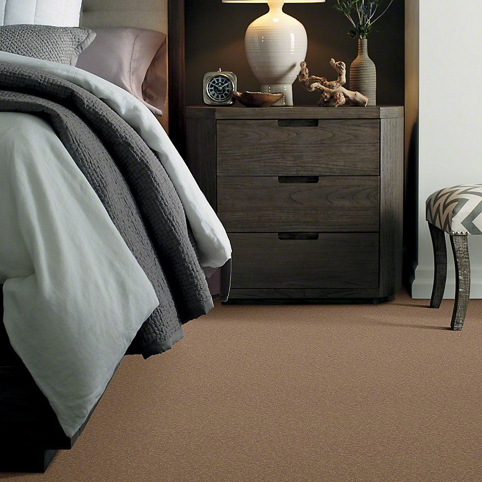 Shaw Floors Sandy Hollow I 12′ Adobe 00108_Q4273