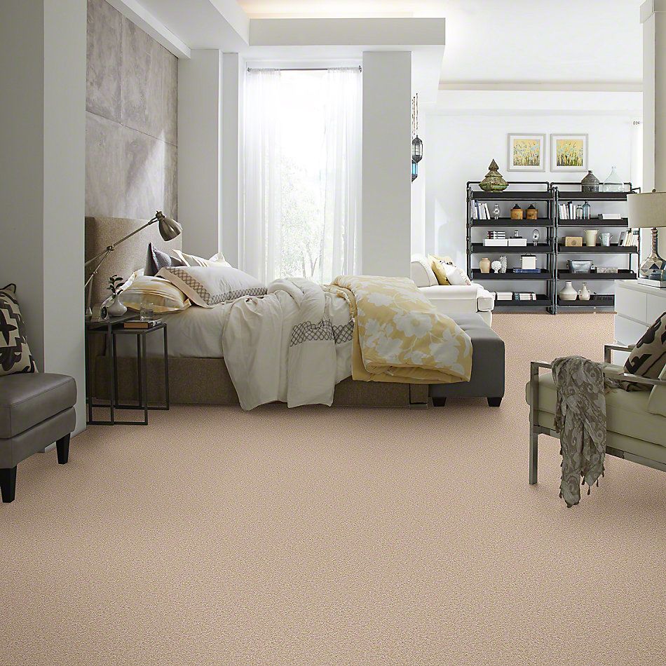 Shaw Floors Queen Sandy Hollow I 15′ Adobe 00108_Q4274