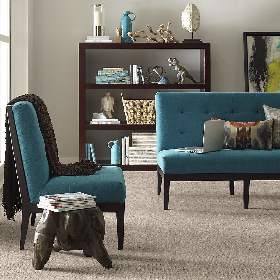Shaw Floors Main Squeeze Fossil Path 00108_NA452