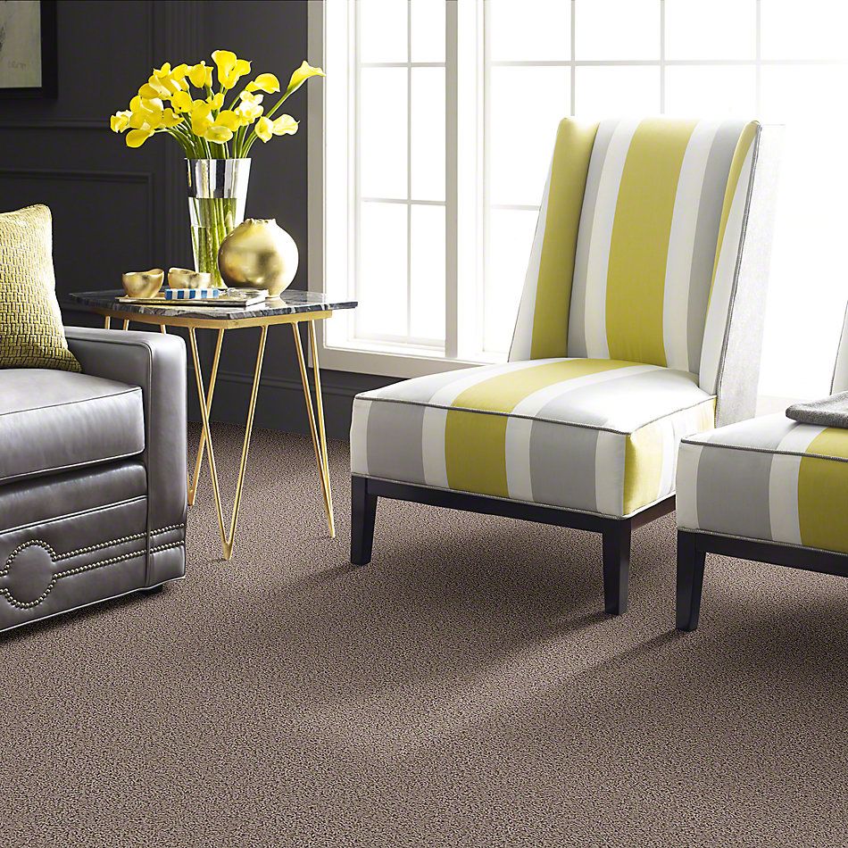 Shaw Floors Guess Work (s) Birch 52T99_00109
