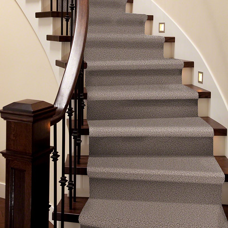 Shaw Floors Guess Work (s) Birch 52T99_00109