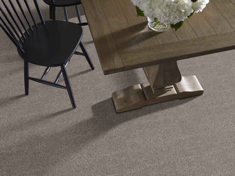 Shaw Floors Simply The Best Within Reach II Kidskin 00109_5E260