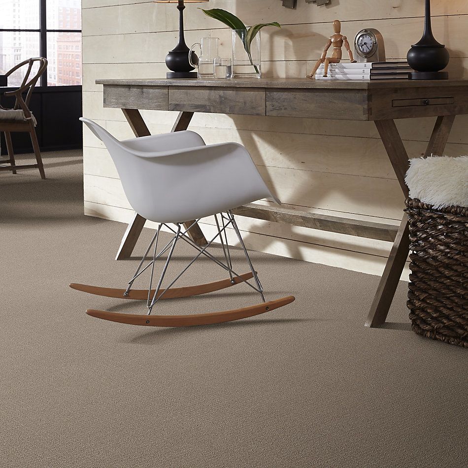 Shaw Floors Value Collections Translate Net Sand Swept 00109_5E352