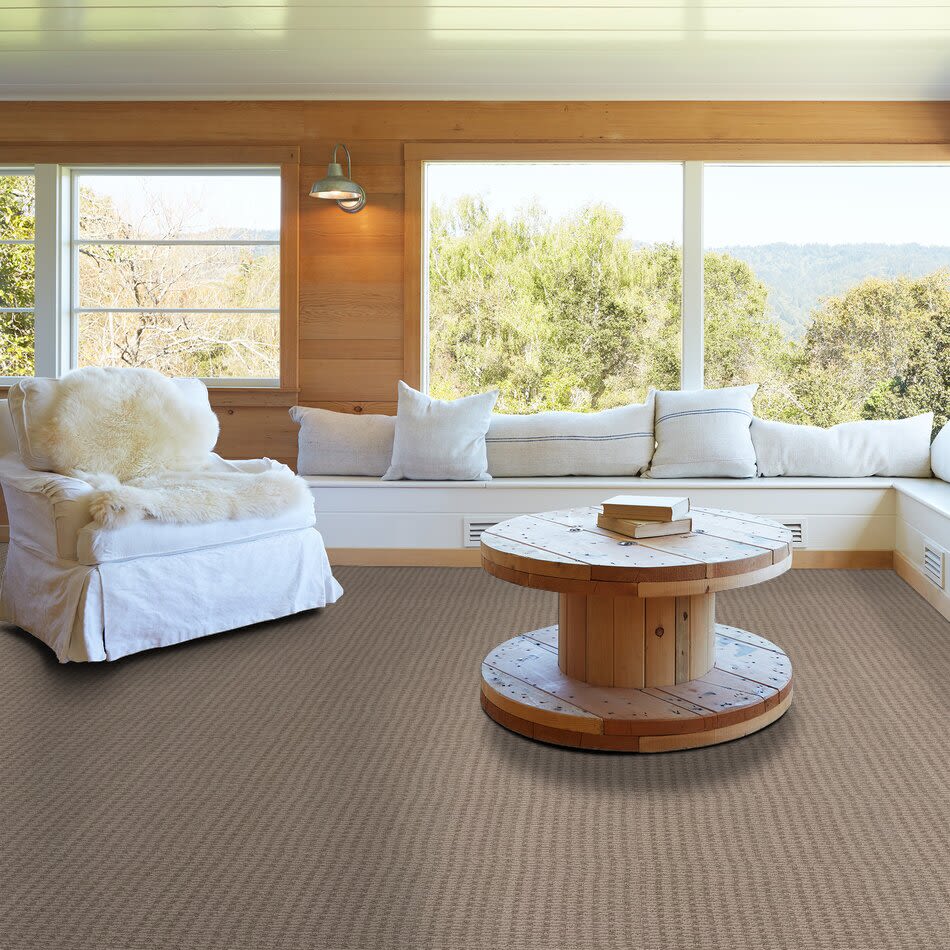 Shaw Floors Pet Perfect Plus Chic Elevation Net Dark Maple 00109_5E516