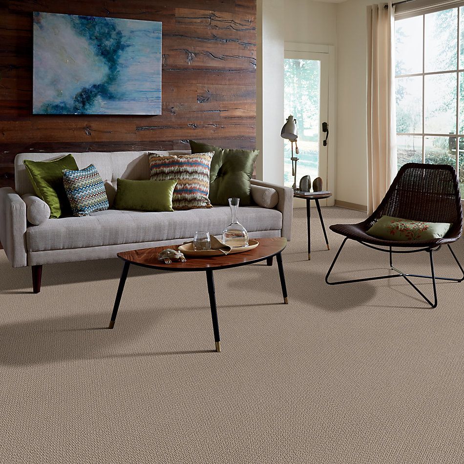 Shaw Floors Value Collections Channeling Net Pebble Path 00109_5E517