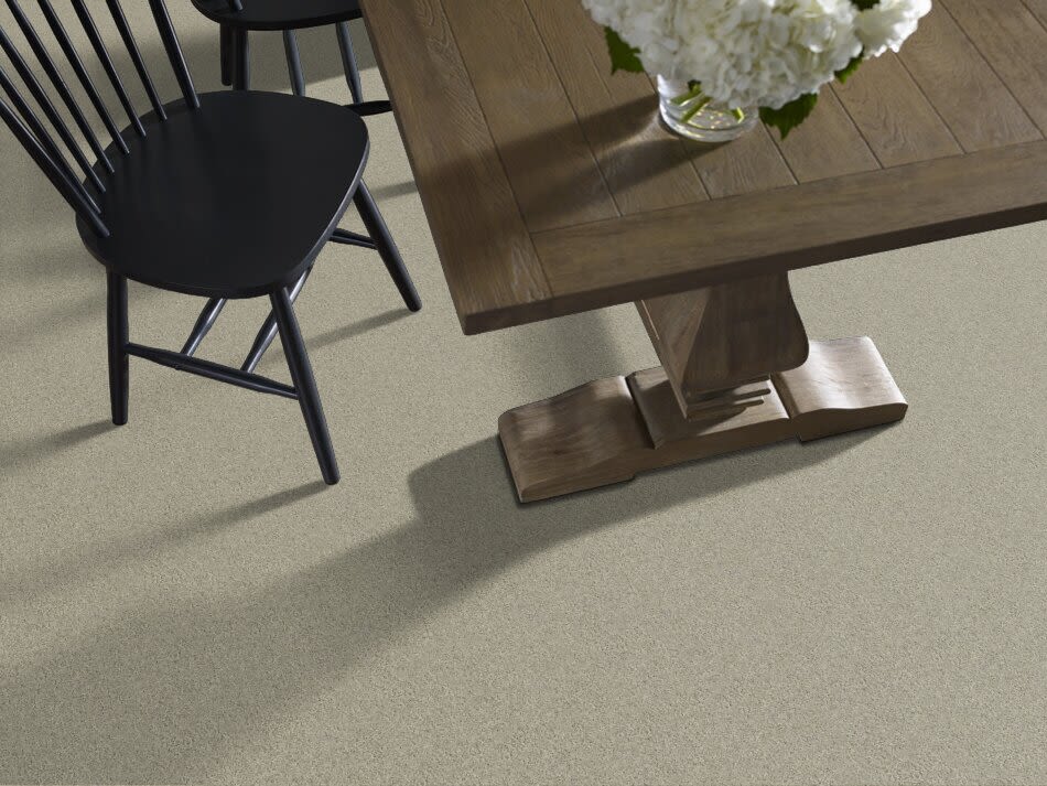 Shaw Floors Ultratouch Anso Exalted Beauty I City Scape 00109_748Z7