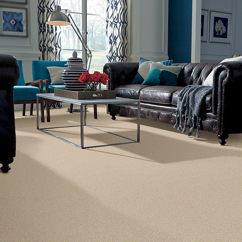 Shop Shaw Floors Newbern Classic 12' Crisp Linen 00109_E0949 Carpet