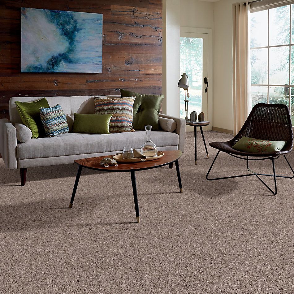 Shaw Floors Nfa/Apg Leading Legacy Lava 52V25_00109