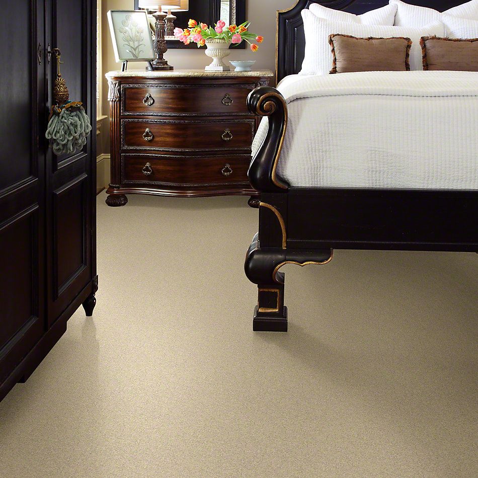 Shaw Floors Anso Colorwall Design Texture Platinum 12′ Chenille Soft 52T73_00110