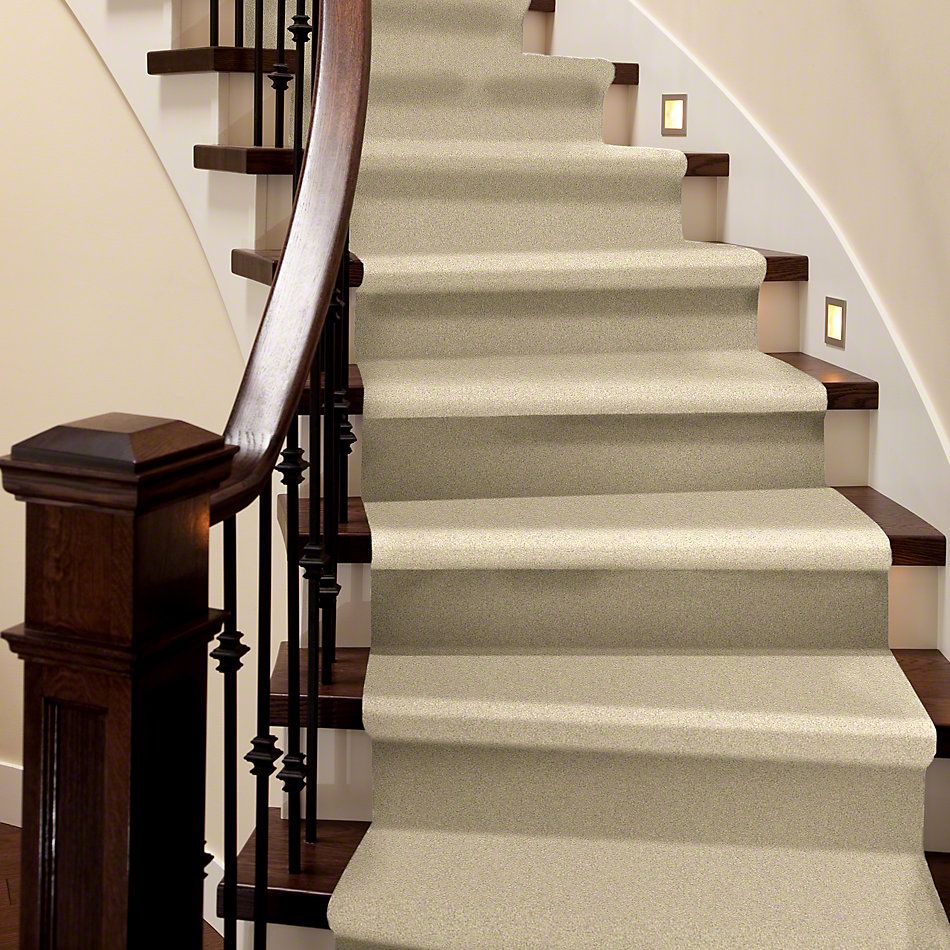 Shaw Floors Anso Colorwall Design Texture Platinum 12′ Chenille Soft 52T73_00110