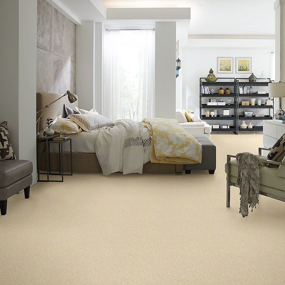 Shaw Floors Anso Colorwall Design Texture Gold Chenille Soft 00110_52T72