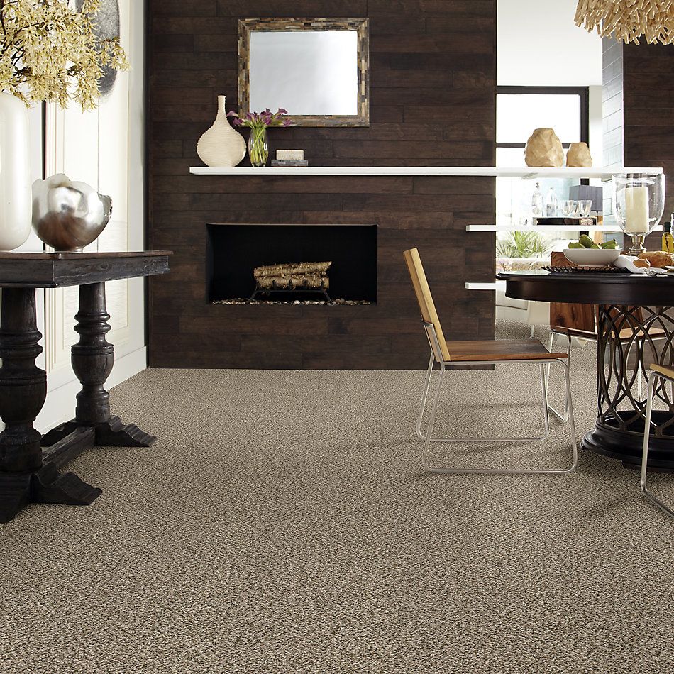 Shaw Floors Break Away (b) Burlap 00110_5E242
