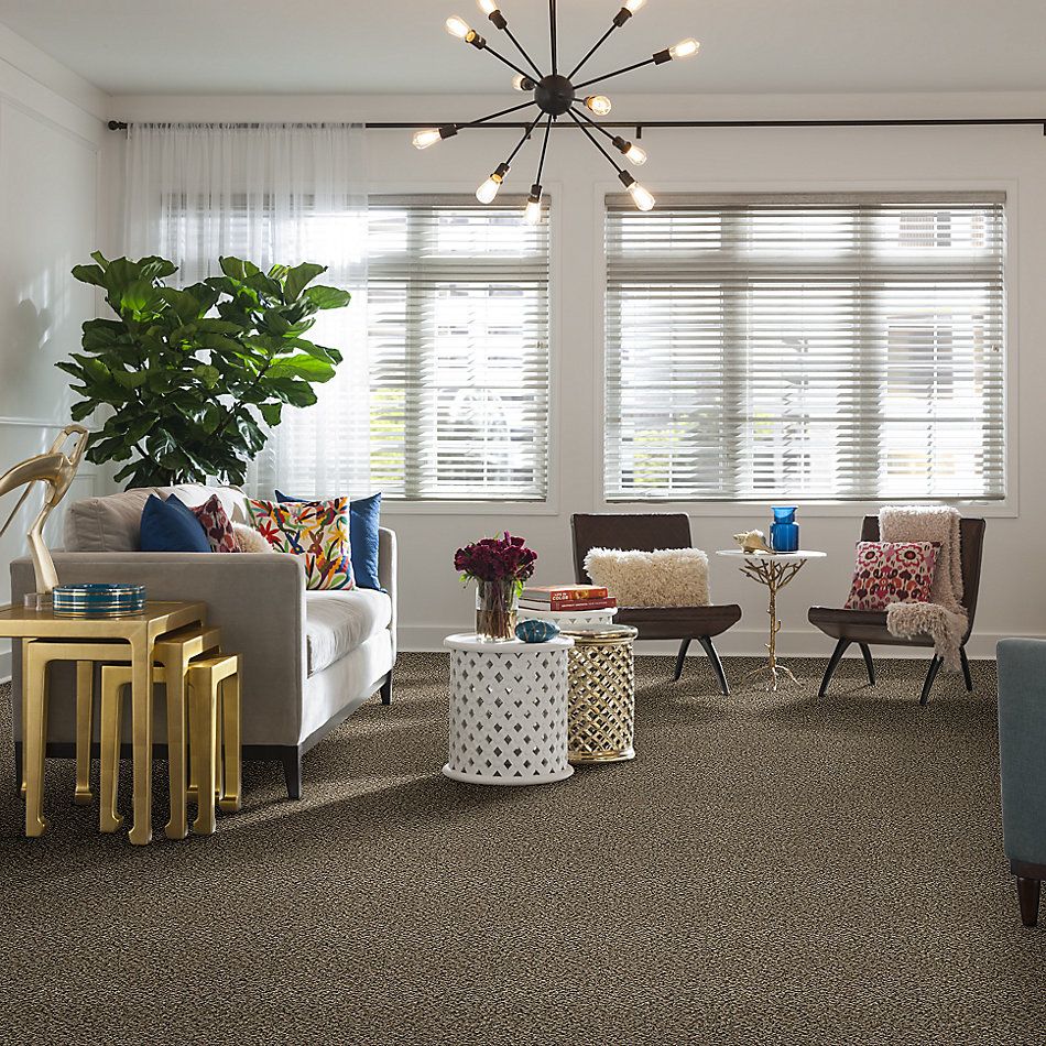 Shaw Floors Value Collections Break Away (b) Net Burlap 00110_5E281
