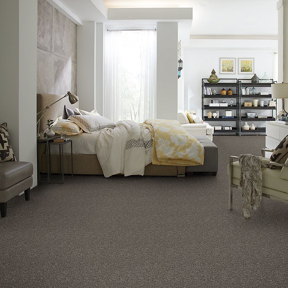 Shaw Floors Value Collections Within Reach III Net Beige Bisque 00110_5E337