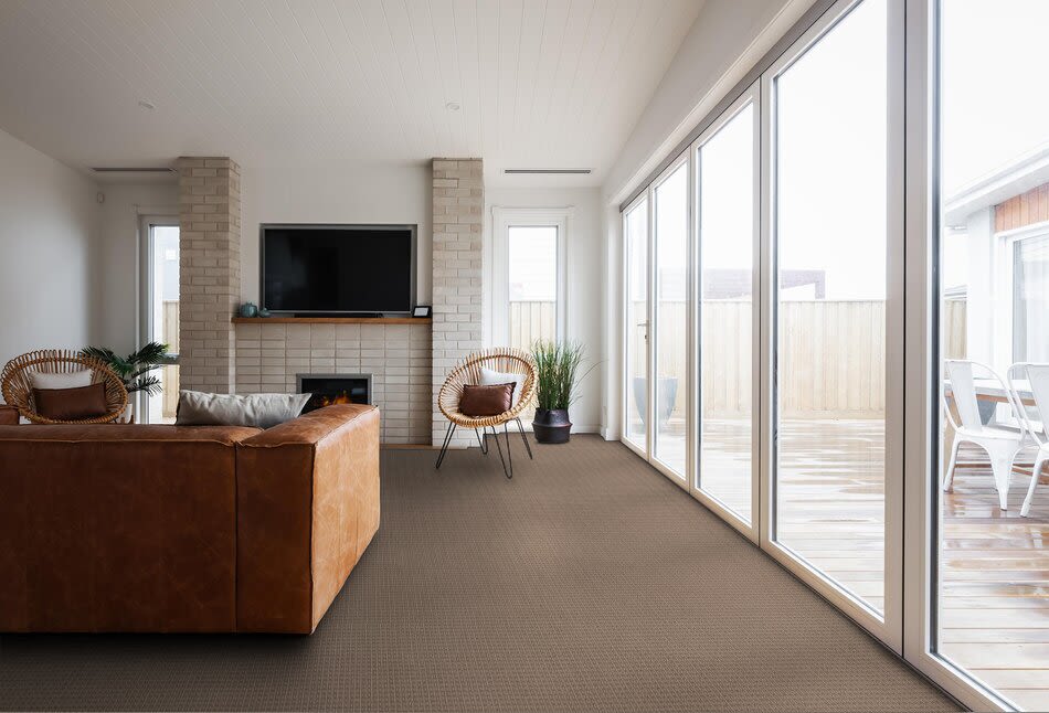 Shaw Floors Pet Perfect Plus Chic Elevation Net Beige Bisque 00110_5E516