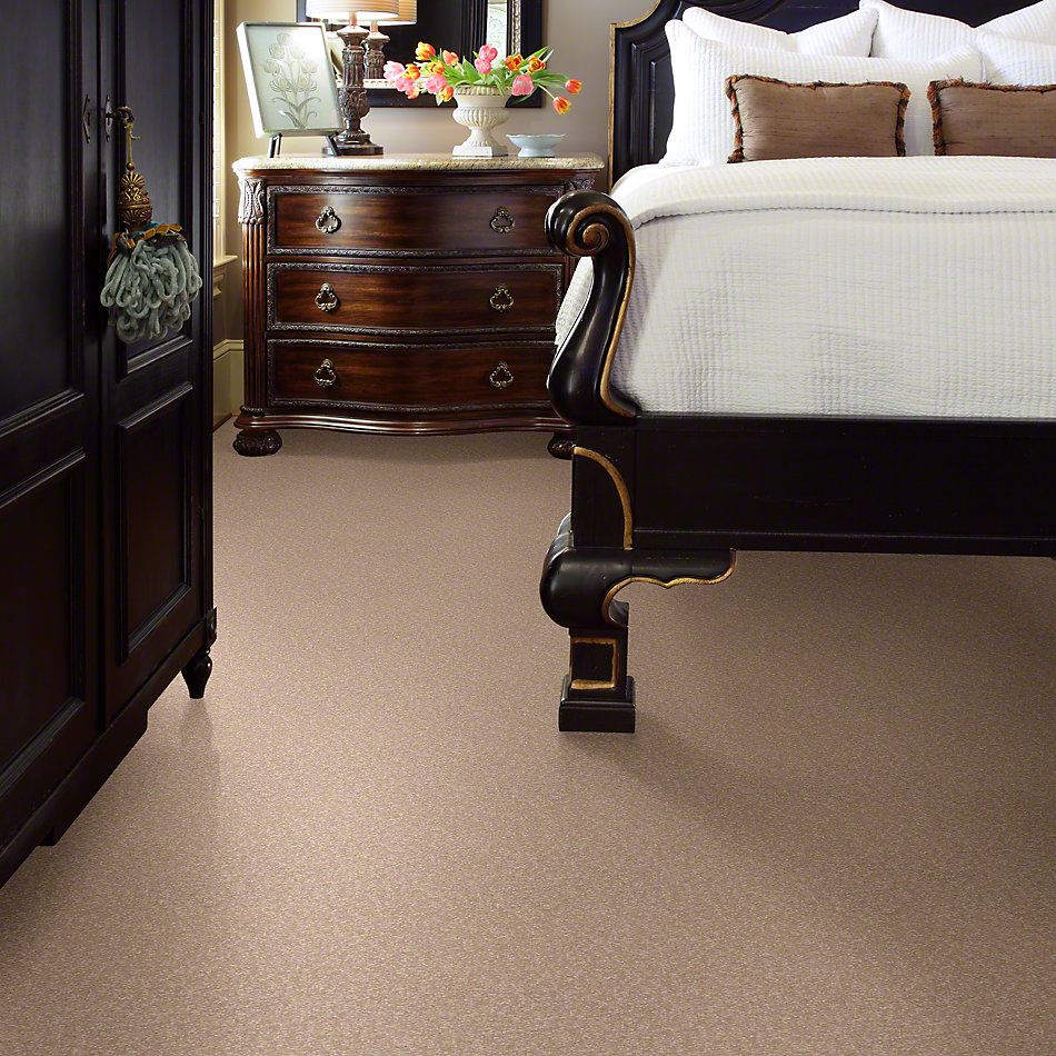 Shaw Floors Sandy Hollow I 12′ Stucco 00110_Q4273