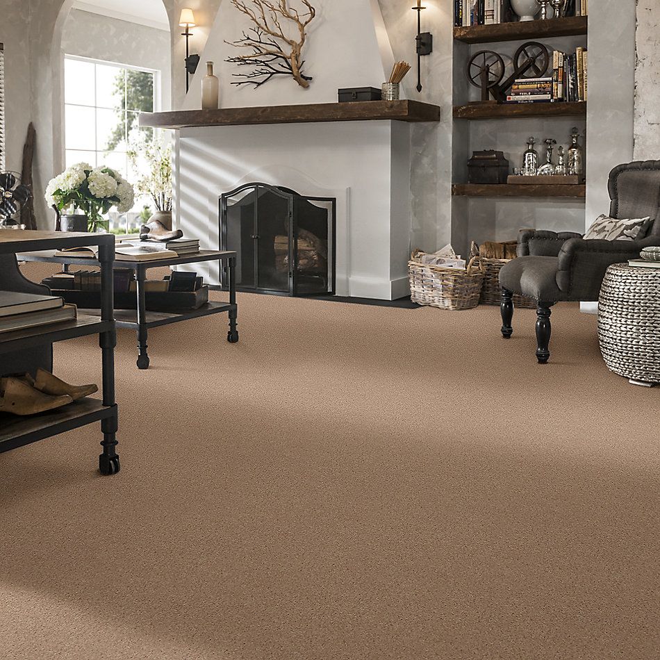 Shaw Floors Caress By Shaw Cashmere Iv Fawn 00110_CCS04