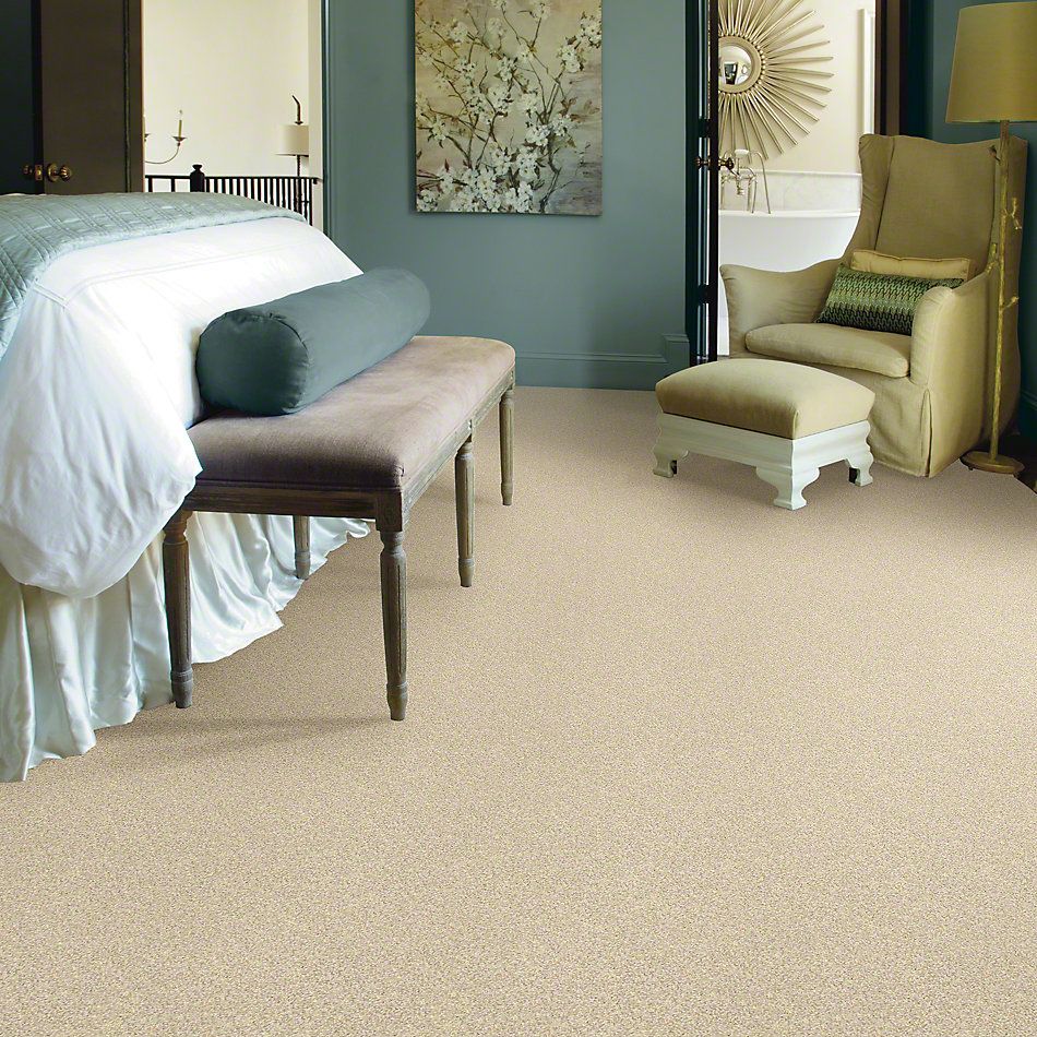 Shaw Floors Anso Colorwall Designer Twist Gold (s) Chenille Soft 00110_EA090