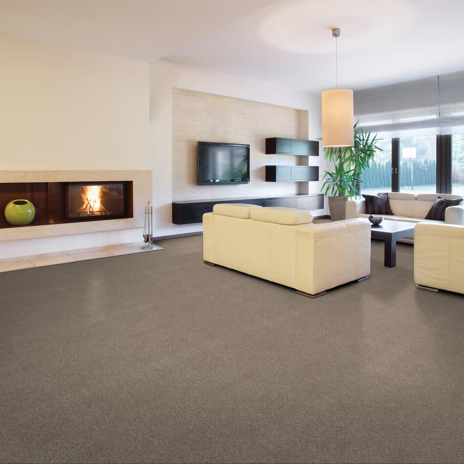 Shaw Floors Home Foundations Gold Blue Peak II Beige Bisque 00110_HGR32