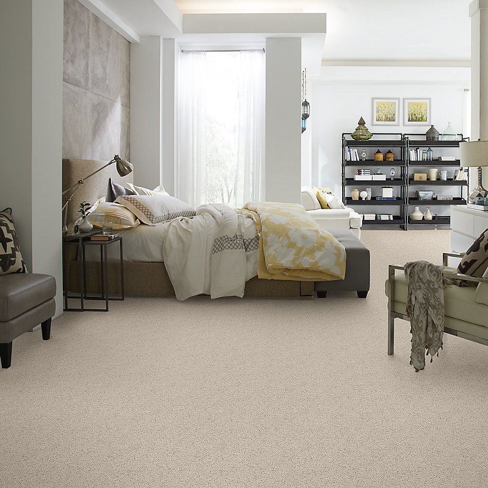 Shaw Floors Property Solutions Specified Venture Solid Winter White 00110_PZ055