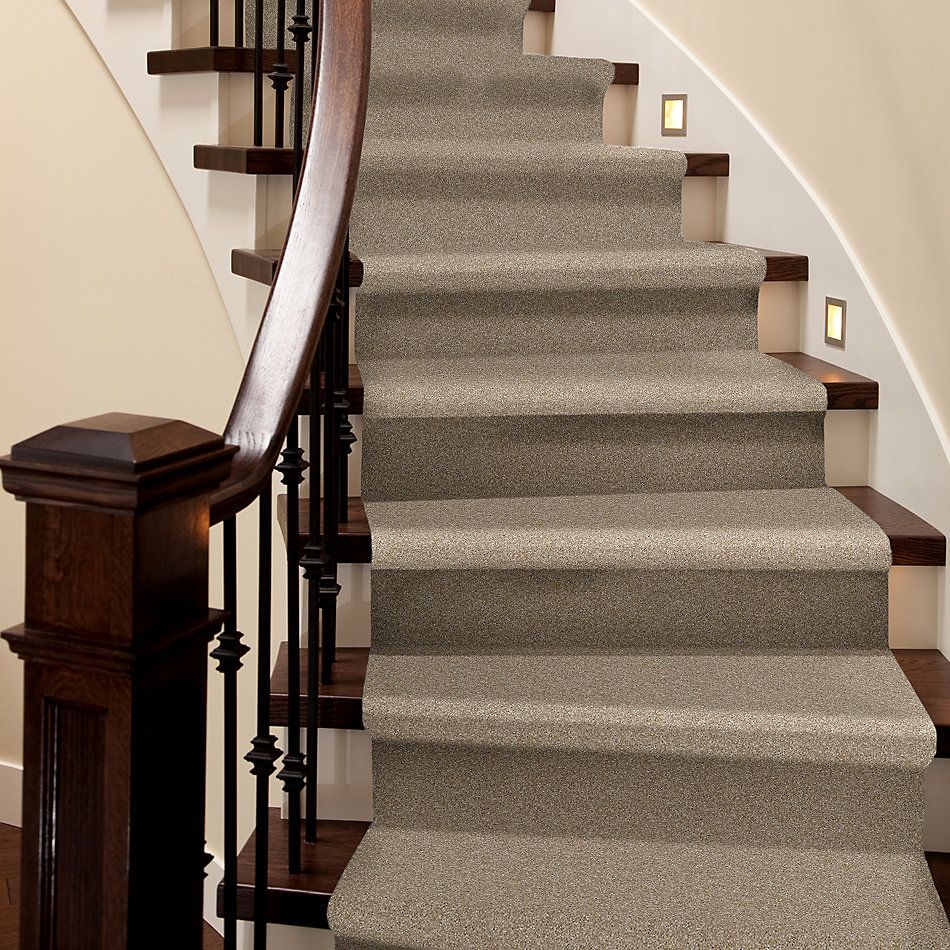 Shaw Floors Value Collections Virtual Gloss Net Blonde 00111_E9570