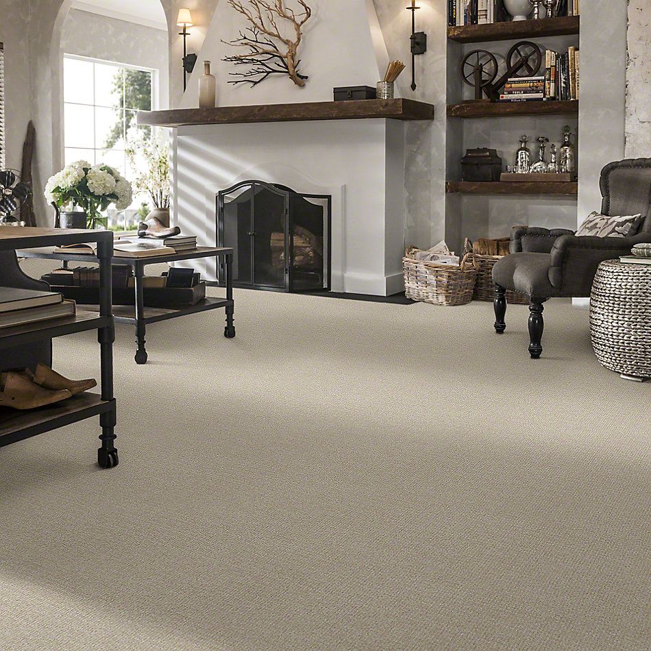 Shaw Floors Shaw Flooring Gallery Unleashed Mist 00112_5514G