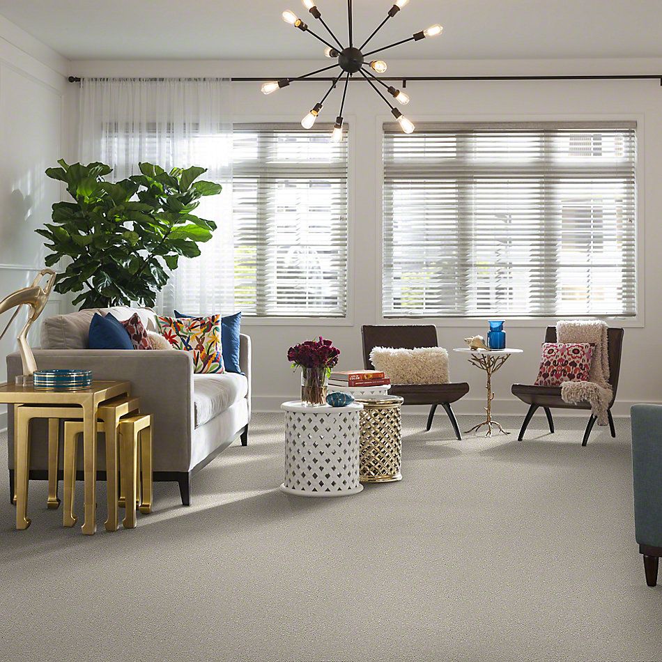 Anderson Tuftex SFA Go Ahead I Chic Cream 814SF_00112