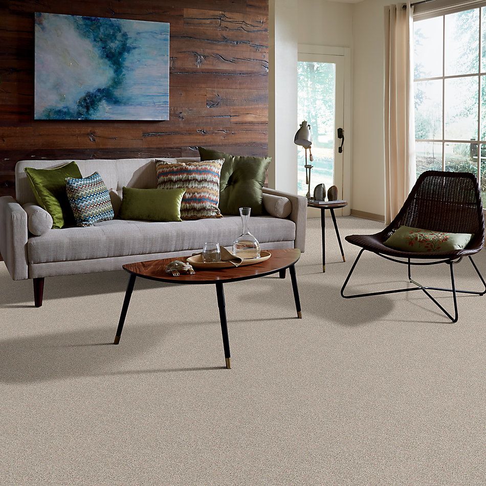 Shaw Floors Anso Open I (t) Doeskin 00112_E0987