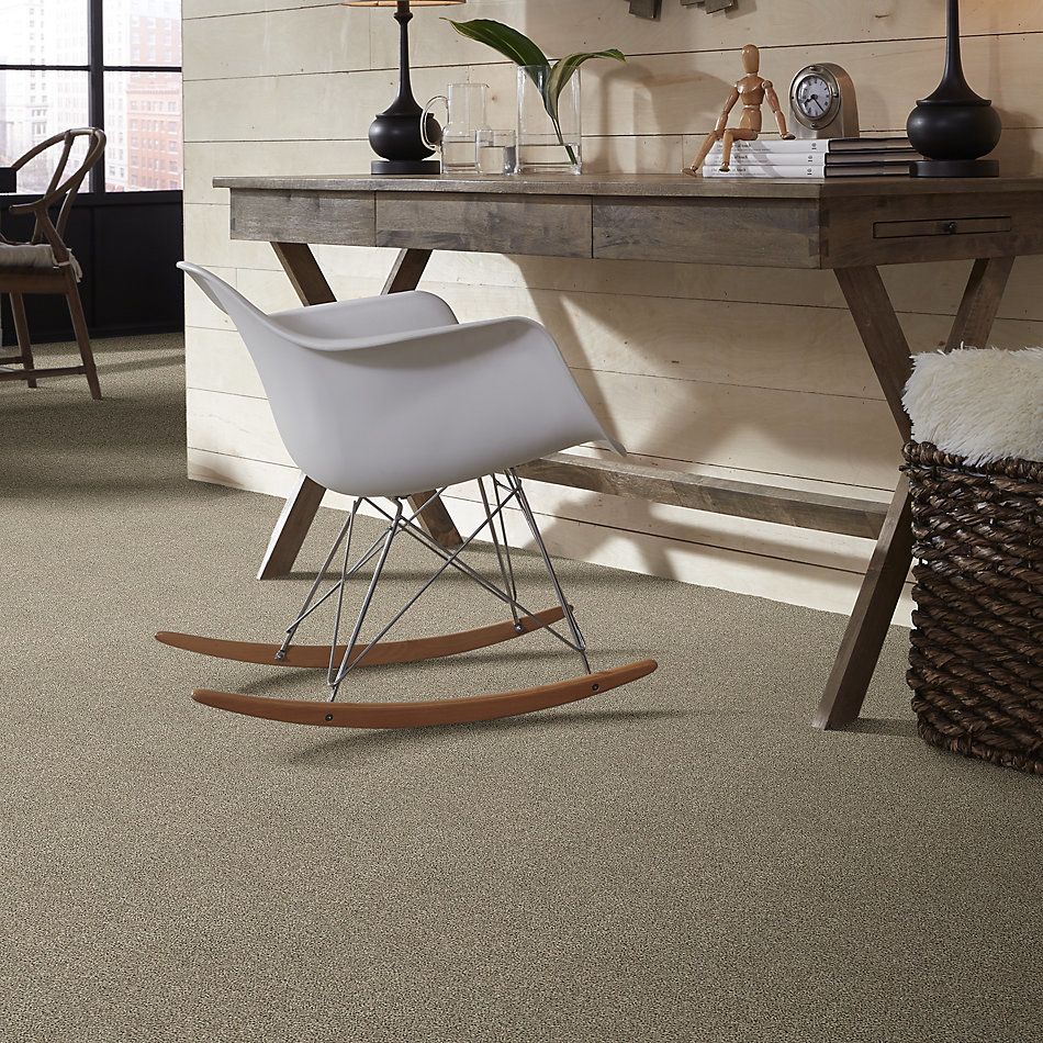 Shaw Floors Value Collections Shake It Up Tonal Net Stucco 00112_E9859