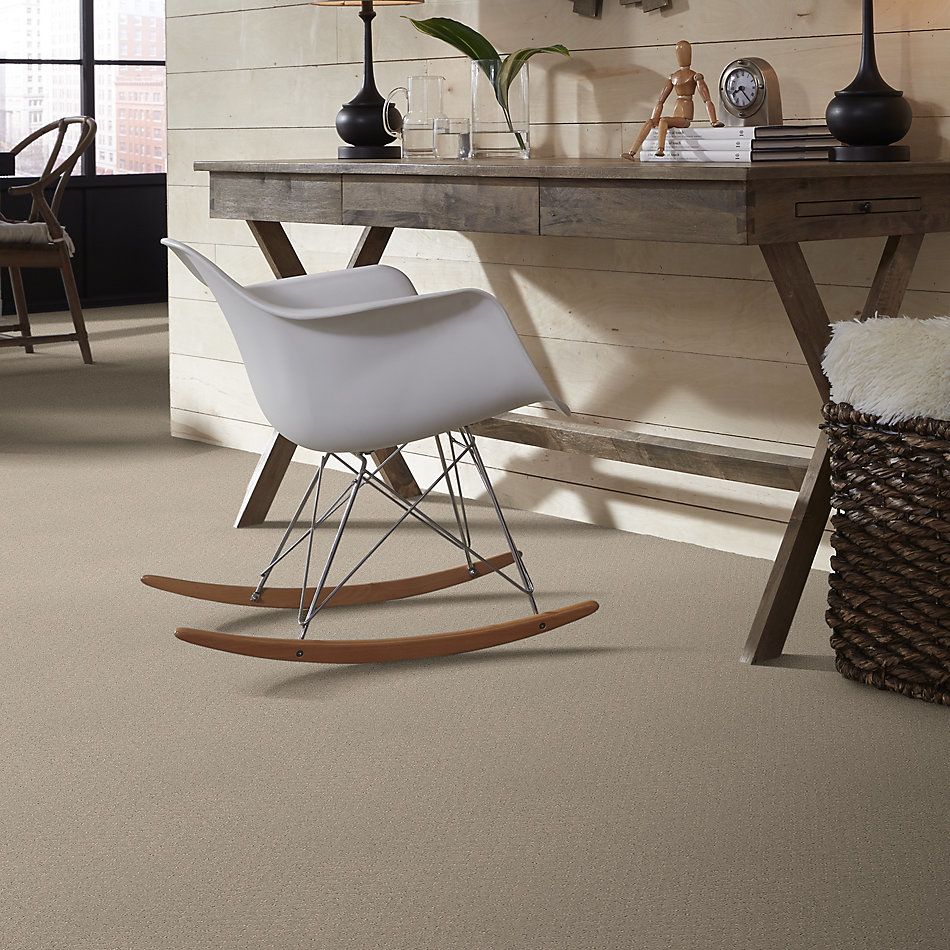 Anderson Tuftex Value Collections Ts348 Shy Beige 00112_TS348