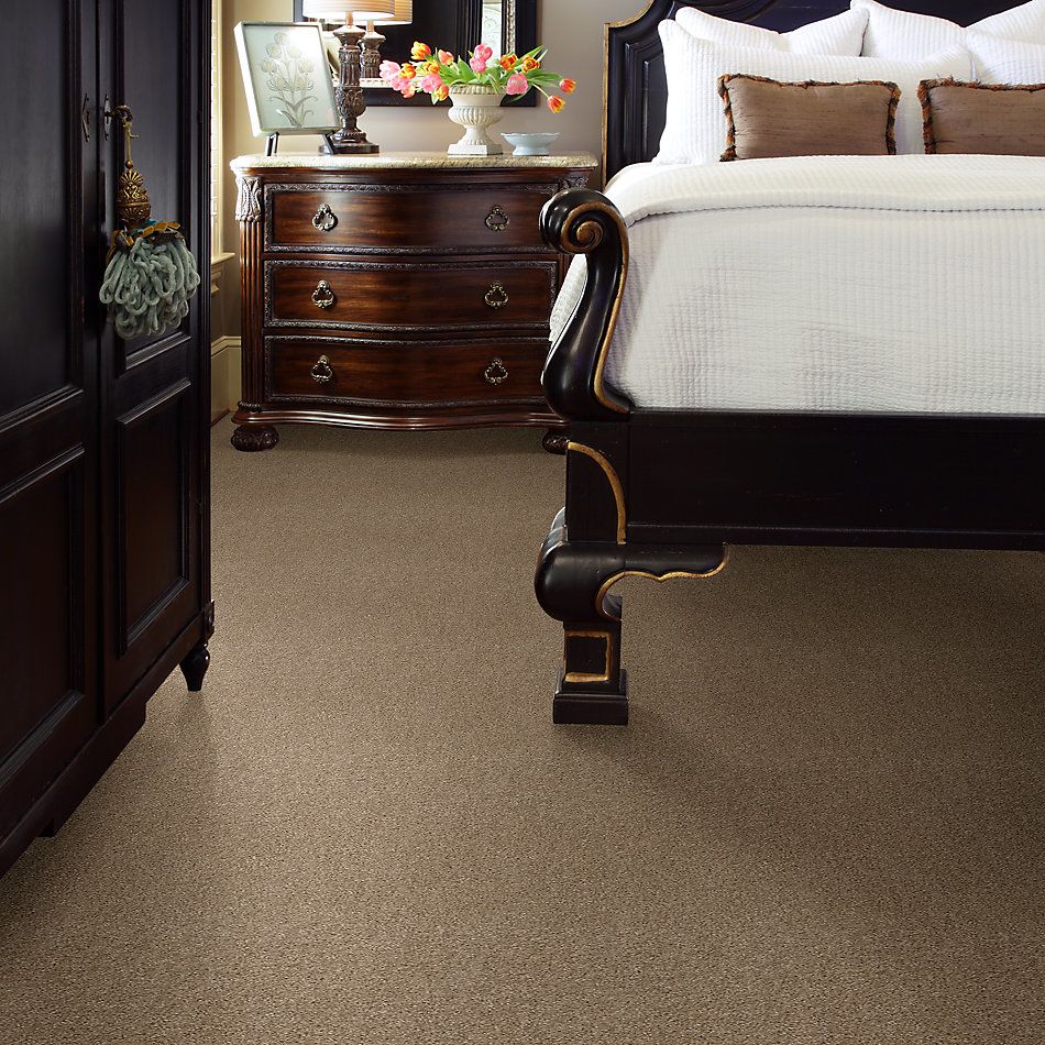 Shaw Floors Valiant Mohair 00113_5E288