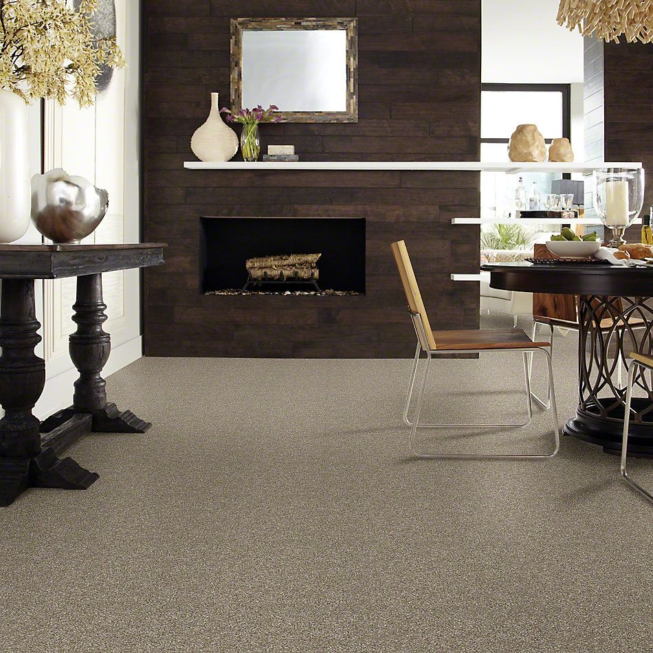 Shaw Floors Simply The Best Luminous Granola 00113_E9494