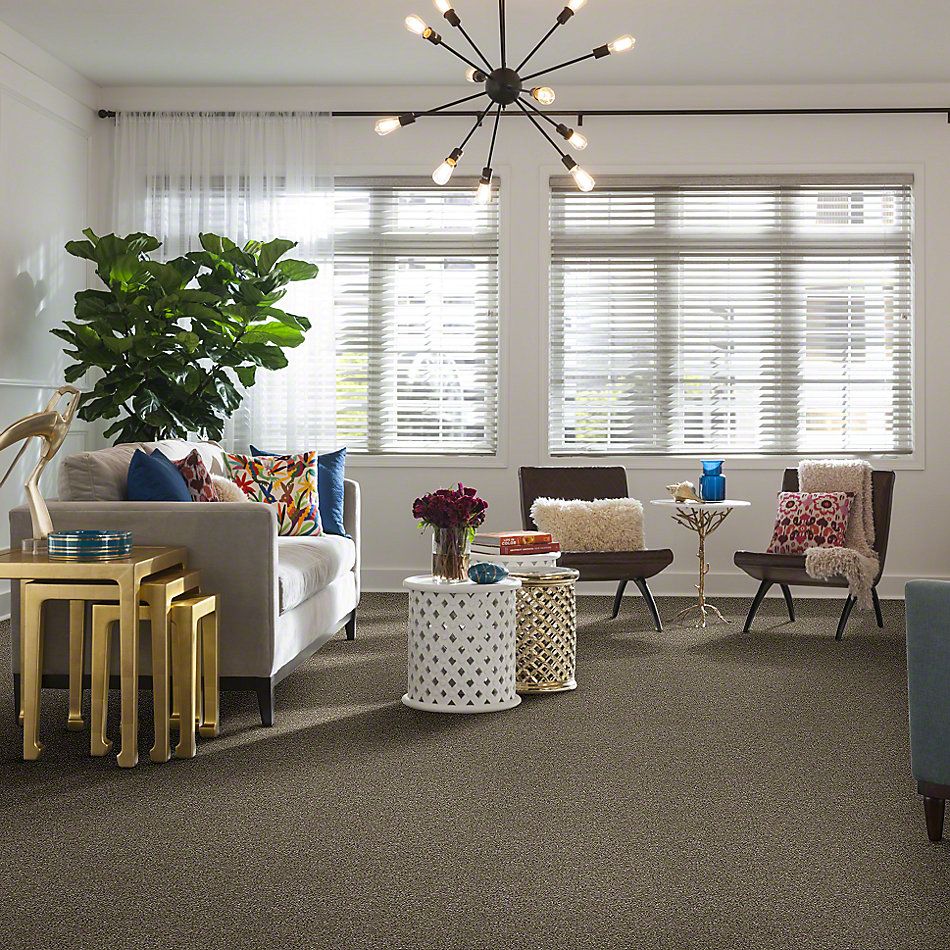 Shaw Floors Simply The Best Luminous Granola 00113_E9494
