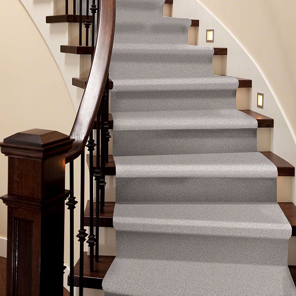 Shaw Floors Shaw Flooring Gallery Beautifully Simple Catnip 00114_5573G