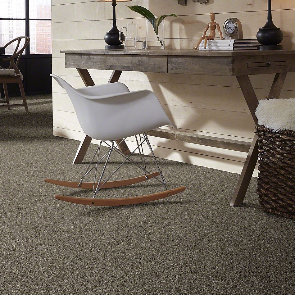Shaw Floors Simply The Best Luminous Tortoise Shell 00114_E9494