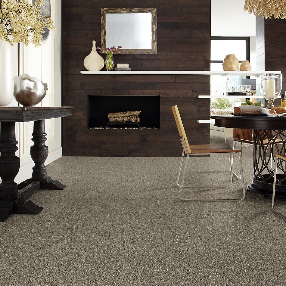 Shaw Floors Value Collections Virtual Gloss Net Tortoise Shell 00114_E9570