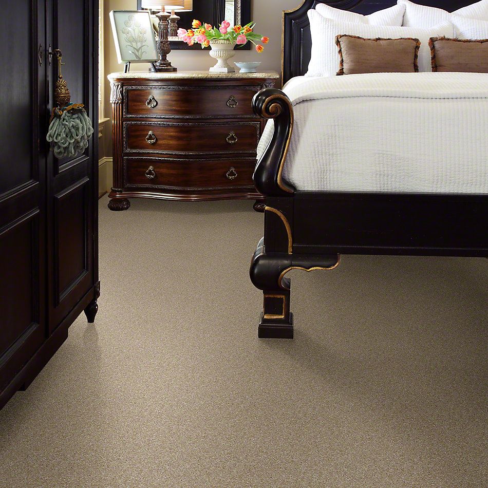 Shaw Floors Simply The Best Virtual Gloss Gentle Taupe 00115_EA718