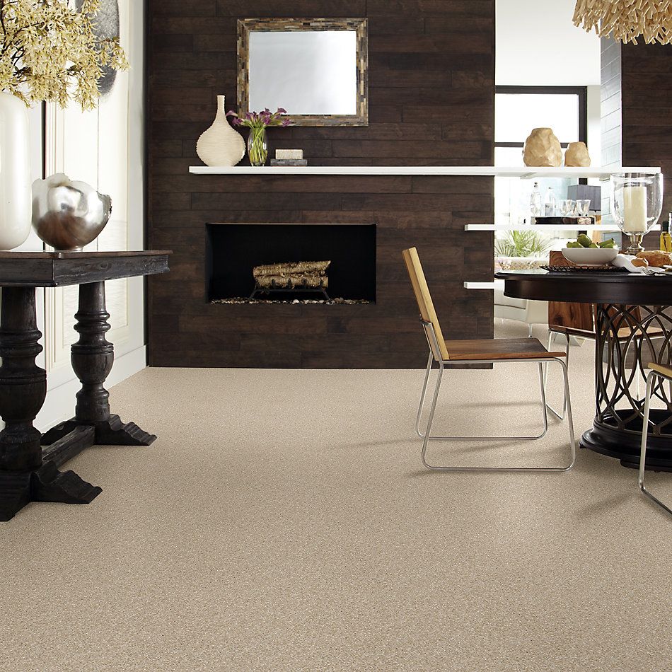 Shaw Floors Value Collections Virtual Gloss Net Gentle Taupe 00115_E9570