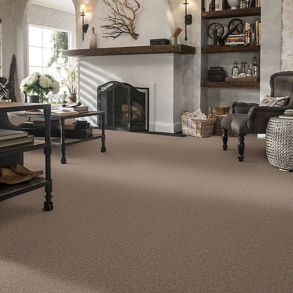 Shaw Floors This Is It Ladys Choice 52E51_00116