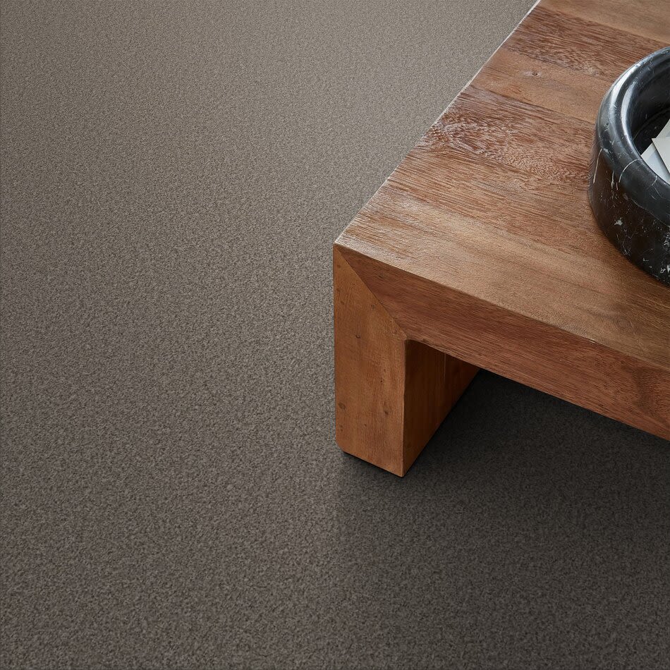 Shaw Floors Pet Perfect Plus Artistic Fusion I Net Warm Light 00116_5E610