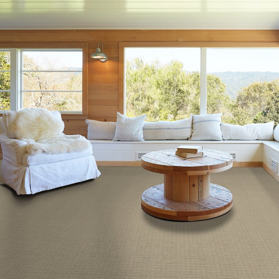 Shaw Floors Value Collections Blocking Net Ub Flax 00116_E9468