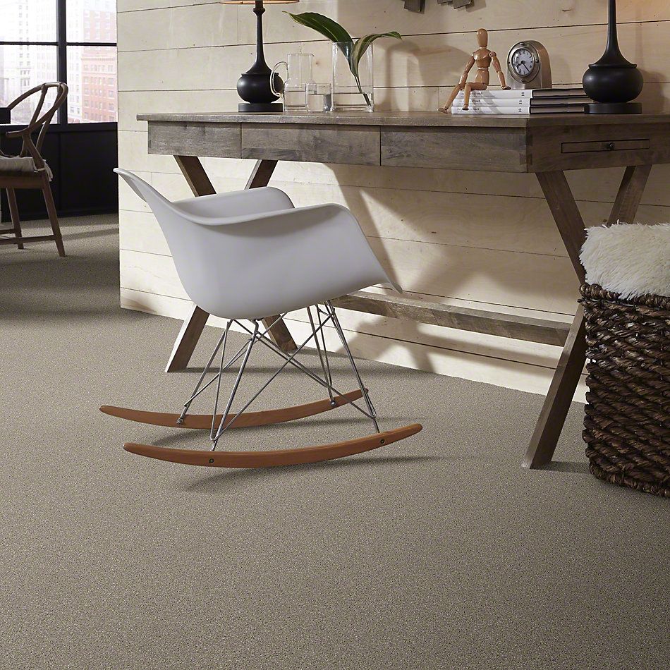 Shaw Floors Simply The Best Luminous Morning Dew 00116_E9494