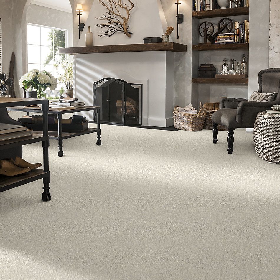 Shaw Floors Nfa/Apg Take the Floor Texture I Modest 5.00E+05_00116
