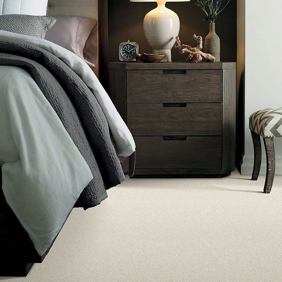 Shaw Floors Nfa/Apg Take the Floor Texture II Modest 5.00E+06_00116