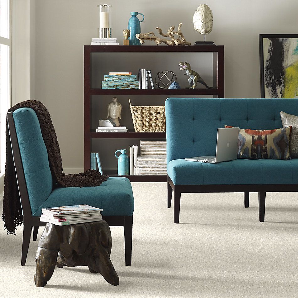 Shaw Floors Nfa/Apg Take the Floor Texture II Modest 5.00E+06_00116